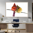 Cardinal Bird Canvas Wall Art - Male and Female Cardinal