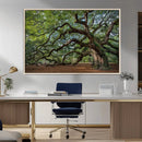 Historic Tree Wall Art – Framed Mossy Branch Canvas Artwork, by MyGreatCanvas | Canvas Wall Art Prints | Photo Prints & Wall Decor