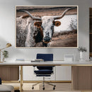 Texas Longhorn Wall Art Canvas Print – Framed Spotted Bull