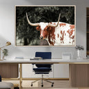 Texas Longhorn Wall Art Canvas Print – Framed Spotted Bull
