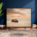 MyCanvas -