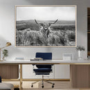 Monochrome Highland Cow Wall Art Canvas Print – Framed by MyGreatCanvas | Canvas Wall Art Prints | Photo Prints & Wall Decor