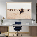 Bison Herd Wall Art Canvas Print – Framed Western Prairie