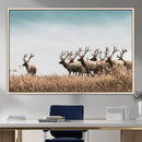 Elk Herd Wall Art Canvas Print – Framed Wildlife Photography
