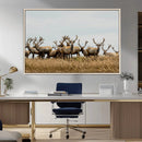 Elk Herd Wall Art Canvas Print – Framed Wildlife Photography