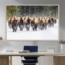 American Bison Herd Wall Art Canvas Print – Powerful Winter by MyGreatCanvas | Canvas Wall Art Prints | Photo Prints & Wall Decor