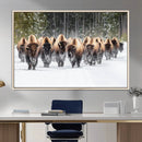 Bison Herd Scene Wall Art Canvas Print – Framed Western by MyGreatCanvas | Canvas Wall Art Prints | Photo Prints & Wall Decor