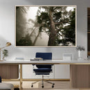 Misty Forest Tall Trees Foggy Atmosphere Nature Serenity by MyGreatCanvas | Canvas Wall Art Prints | Photo Prints & Wall Decor
