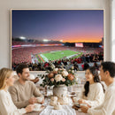 Dooley Stadium Wall Art, Sports Arena Canvas Print, Dooley