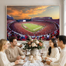 Dooley Stadium Wall Art, Sports Arena Canvas Print, Dooley