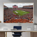 Jordan-Hare Stadium Wall Art Canvas Print, College Sports by MyGreatCanvas | Canvas Wall Art Prints | Photo Prints & Wall Decor
