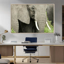 Wild Elephant Wall Art Canvas Print by MyGreatCanvas | Canvas Wall Art Prints | Photo Prints & Wall Decor