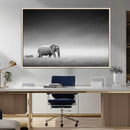 Elephand and Zebra Wall Art Canvas Print, Modern Artwork