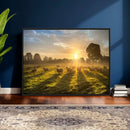 Sheep Wall Art Canvas Print – Rural Farm Animal Artwork by MyGreatCanvas | Canvas Wall Art Prints | Photo Prints & Wall Decor