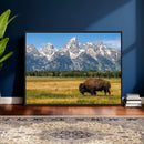 Bison in Mountain Landscape Wall Art Canvas Print – Western by MyGreatCanvas | Canvas Wall Art Prints | Photo Prints & Wall Decor