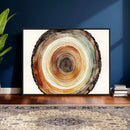 Natural Wood Slice Wall Art Canvas Print, Tree Ring Wall by MyGreatCanvas | Canvas Wall Art Prints | Photo Prints & Wall Decor