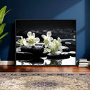 Plumeria Frangipani Black Stone Canvas | White Flower Spa by MyGreatCanvas | Canvas Wall Art Prints | Photo Prints & Wall Decor
