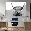 Newfoundland Cow Art Wall Art, Black White Cow Art Wall Art