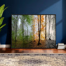 Four Seasons Wall Art Forest Canvas Print – Triptych