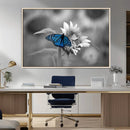 Blue Butterfly Black and White Canvas Wall Art by MyGreatCanvas | Canvas Wall Art Prints | Photo Prints & Wall Decor