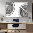 Abstract Large Tree Rings – Minimalist Black and White Wood