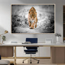 Jaguar Wall Art Canvas Print - Majestic Big Cat in Focused by MyGreatCanvas | Canvas Wall Art Prints | Photo Prints & Wall Decor
