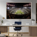 Eagles Field Stadium Wall Art - Philadelphia Eagles Football