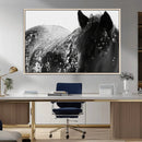 Black Horse in Snow Canvas Print | Winter Horse Wall Art |