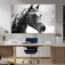 Horse Canvas Print - Winter Horse Snow Wall Art Canvas Print by MyGreatCanvas | Canvas Wall Art Prints | Photo Prints & Wall Decor