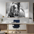 Black and White Horse Winter Wall Art | Ready to Hang and