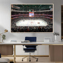 Honda Center California Anaheim Ducks Ice Hockey Stadium