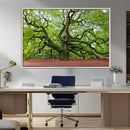 Framed Angel Oak Tree Wall Art - 3-Panel Canvas Prints,