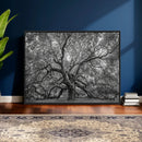 Majestic Angel Oak Tree Black and White Canvas Print – Multi by MyGreatCanvas | Canvas Wall Art Prints | Photo Prints & Wall Decor