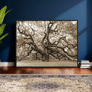 Sepia Framed Angel Oak Tree Wall Art - 3-Panel Canvas