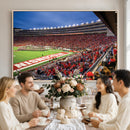 Wisconsin Badgers Football Team Print - Madison Camp Randall