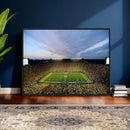 University Michigan Wolverines Football Team Canvas, Iconic by MyGreatCanvas | Canvas Wall Art Prints | Photo Prints & Wall Decor