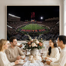 Framed Texas Tech Red Raiders Stadium Canvas, Texas Tech Red