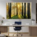 Sunlit Forest Wall Art Canvas Print – Large Framed Woodland