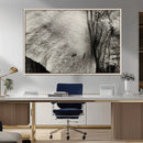Elephant Wall Art Canvas Print
