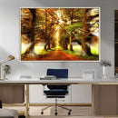 Sunshine in Forest and Trees Wall Art Canvas Print by MyGreatCanvas | Canvas Wall Art Prints | Photo Prints & Wall Decor