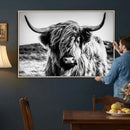 Black and White Scottish Cow Canvas Wall Art Highland Cattle