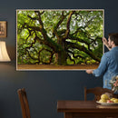 Angel Oak Tree Wall Art Canvas Print | Forest Tree Nature