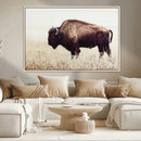 Bison in Field Wall Art Canvas Print For Farmhouse Barn