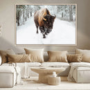 Bison Wall Art Canvas Print For Farmhouse, Animal Canvas
