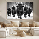 American Bison Art | Buffalo Herd Wall Art Canvas Print, BW