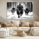 Buffalo Wall Art Canvas Print, Bison Family Wall Art Canvas by MyGreatCanvas | Canvas Wall Art Prints | Photo Prints & Wall Decor