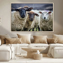 Charming Sheep Portrait Wall Art – Trio of Woolly Companions by MyGreatCanvas | Canvas Wall Art Prints | Photo Prints & Wall Decor