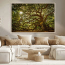Ancient Angel Oak Tree Art Sunburst Canvas Print-