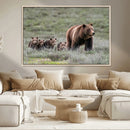 Wildlife Photography of 399 Grizzly Bear Cubs | Queen of the