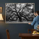 Black and White Old Angel Oak Tree Wall Art Canvas Print